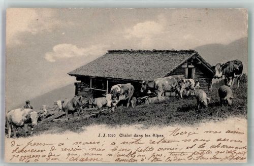 Chalet dans les Alpes Schweine Kuh 1905