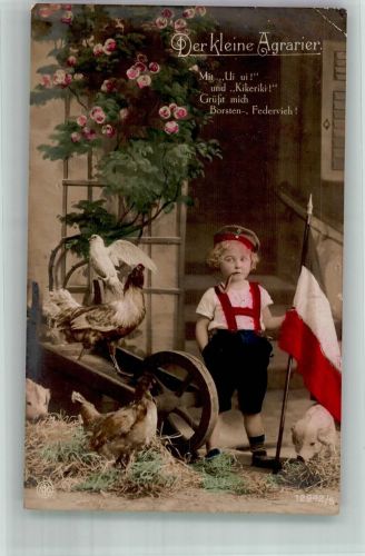 Schwarz-Weiß-Rot Bauer Hühner Schwein NPG 12942/5 Kinder in Uniform 1917 Gebrauchsspuren