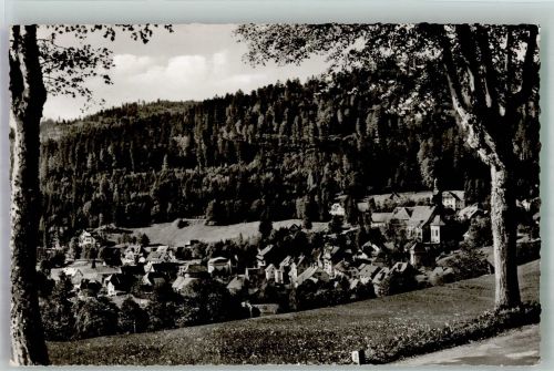 79682 W7865 Todtmoos Foto AK Panorama des Ortes