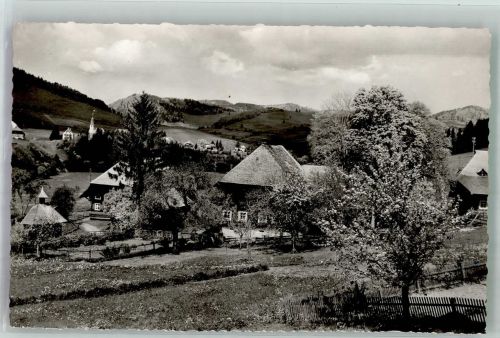 79872 W7821 Bernau im Schwarzwald, Baden Foto AK Panorama des Ortes mit Kirche St. Johann Fotograf Berger