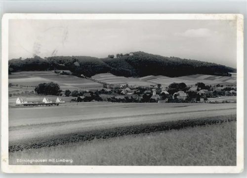 Börninghausen