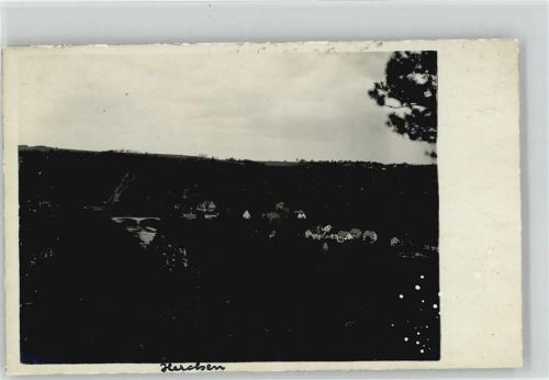 51570 W5227 Herchen Foto AK