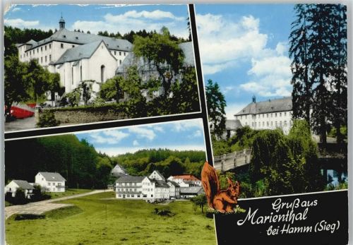 57577 W5231 Marienthal , Westerw 1975 - Kloster u. Pension Haus Elisabeth