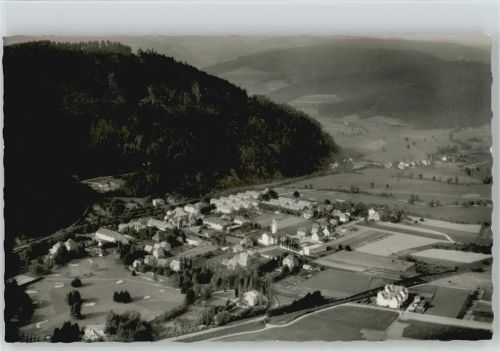 79261 W7809 Gutach im Breisgau - Luftaufnahme