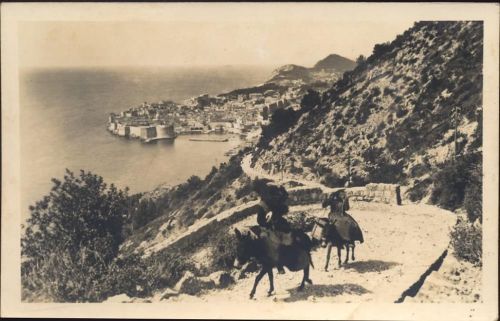 um 1920/30 Dubrovnik, Anischt, Esel, Jugoslawien AKU1