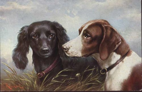 Tolle Künstlerkarte, Rassehunde, Feld Spaniel, Pointer,T.S.N,sign. C. Reichert Spaniel um 1910/20