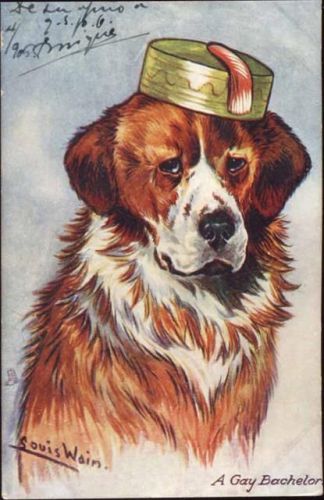 Hund mit Kappe, A Gay Bachelor,Raphael Tuck & Sons Wain, Louis um 1910/20