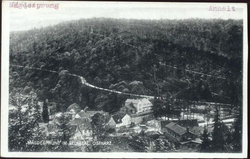 06484 O4301 Mägdesprung um 1937 - Mägdesprung/Ostharz, Sachsen-Anhalt: Blick auf Mägdesprung im Selketal, Ak Nr. P. 15176,Louis Glaser