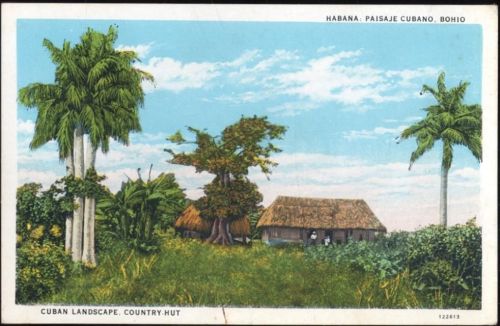 um 1910/20 - Havana, Kuba, Hütte, Landschaft