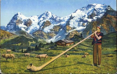 Alphornbläser, Musikinstrument, Landschaft, Kühe,Photoglob Rund um die AK um 1910/20