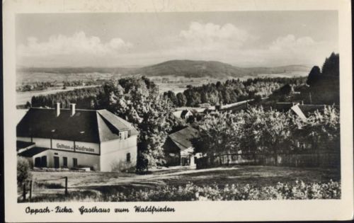 02736 O8717 Oppach 1954 - Oppach-Picka, Gasthaus zum Waldfrieden,Kunstverlag Bruno Scholz AKU2