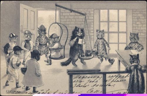 Katzen vermenschlicht , Jockey, Waage Wain, Louis um 1900