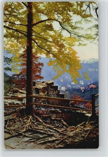 Obing 1916 Photochromie Serie 214 Nr. 3553