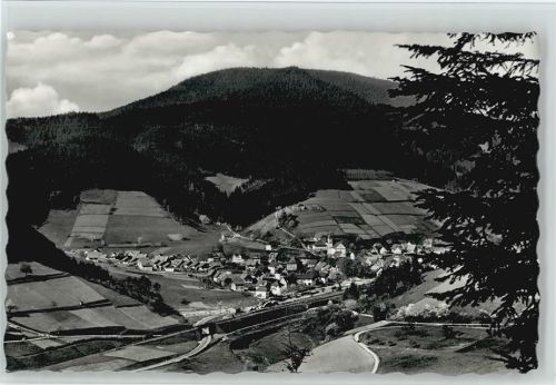 Schenkenzell