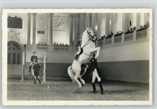1930 - 1935 Spanische Reitschule Courbett Pferde Reitkunst