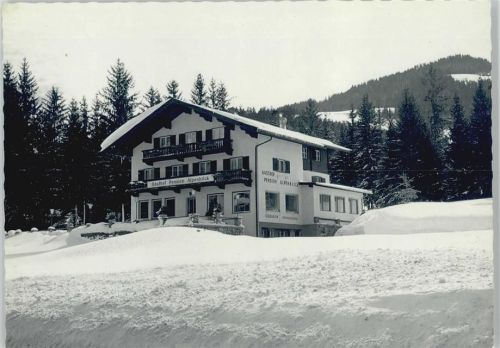 6351 Scheffau 1960 - Gasthof Pension Alpenblick Foto AK