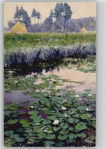 AK Flußlandschaft Seerosen Photochromie Serie 282 Nr. 4368 Seerose 1919