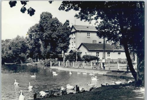15344 O1260 Strausberg - Strauss-See