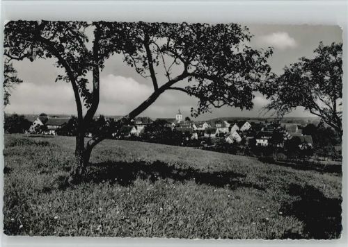 74523 W7173 Mainhardt - 1959 Foto AK Teilansicht
