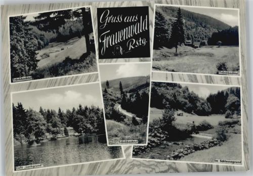 98711 O6304 Frauenwald - Cafe Lenkgrund Tränkbachtal im Schleusegrund