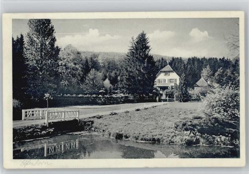 32689 W4925 Varenholz - ex Sammlung Busse Waldhaus Elfenborn
