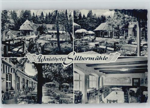 32805 W4934 Leopoldstal , Lippe - Waldgaststätte Pension Silbermühle ex Sammlung Busse
