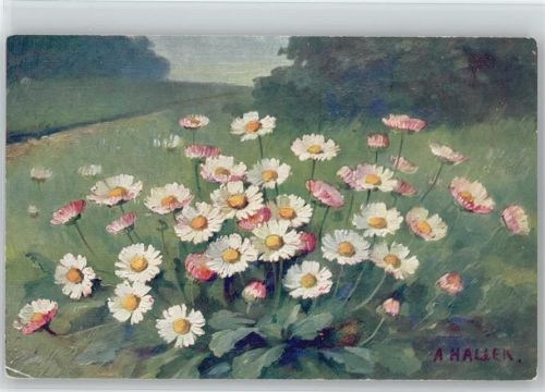 Wiesenblumen -