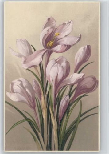 Meissner & Buch Serie 1780 - "Wachsende Blumen" 1911 AK