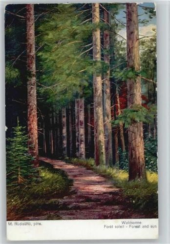 Nr. 966 - Waldsonne -