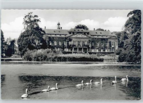 48720 W4428 Osterwick , Westf - Schloß Varlar Schwäne