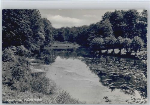 Aumühle Mühlenteich