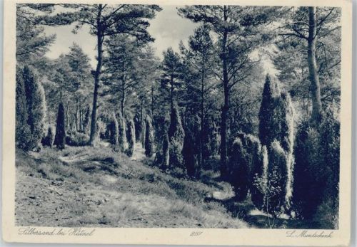 Hützel Silbersand