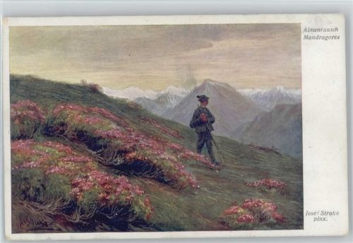 Almenrausch - Jäger - Wiener Kunst Nr. 1581 Straka, J. 1919 Künstlerkarte