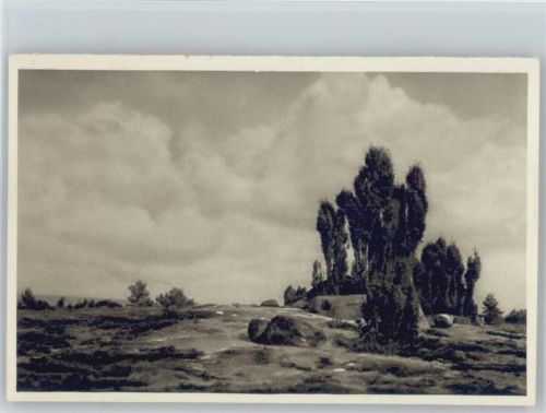 29646 W3045 Wilsede , Kr Soltau 1934 - Lüneburger Heide Reichswinterhilfe-Lotterie