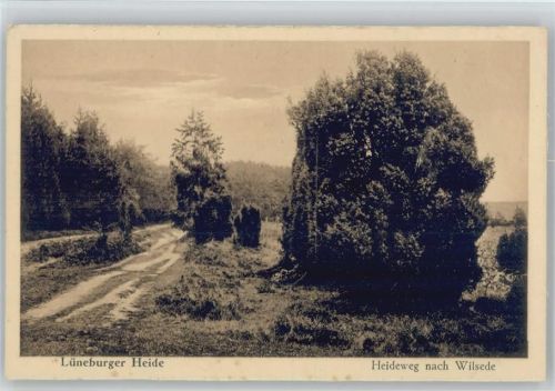 29646 W3045 Wilsede , Kr Soltau - Heideweg