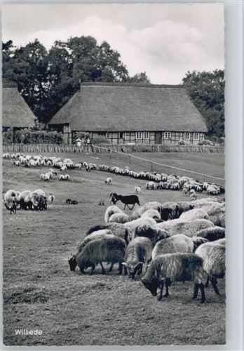 29646 W3045 Wilsede , Kr Soltau