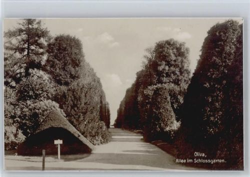 Allee Schloßgarten