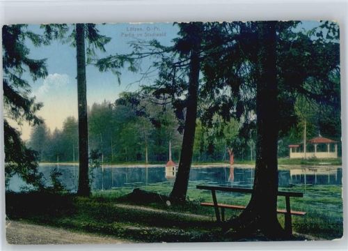 Stadt Lötzen / Gizycko - Stadtwald
