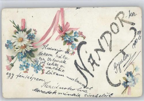 1900 Vergissmeinnicht mit rosa Schleifen