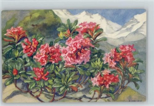 1929 Alpenblumen