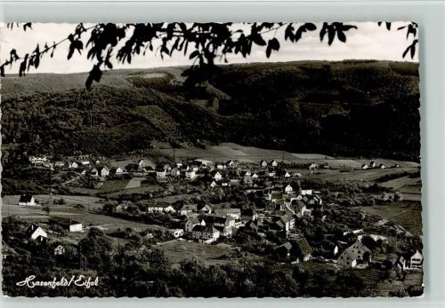 Hasenfeld