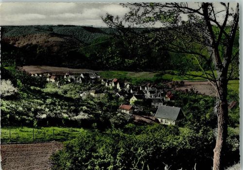 Hasenfeld