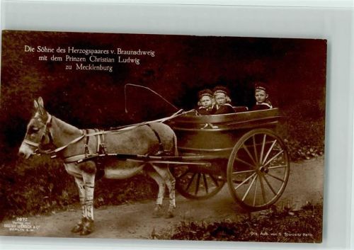 Nr. 7872 Liersch - Söhne des Herzogpaares von Braunschweig mit dem Prinzen Ludwig zu Mecklenburg in einer Eselskutsche Foto AK Adel