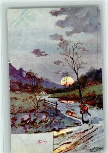 Sonnenuntergang - März - Natur Landschaft - Reisigsammlerin