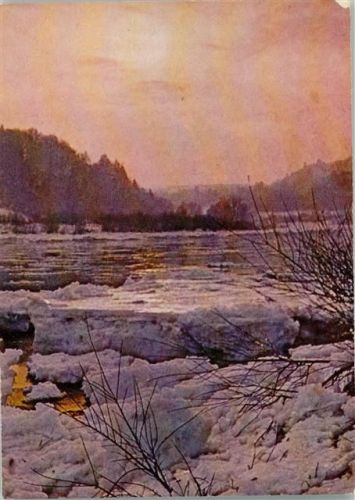 Winterlandschaft - Verein zum Schutze der Alpenpflanzen und Tiere - Umweltschutz