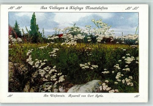 Am Wiesenrain von Curt Agthe