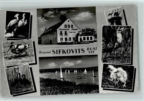 Rust Restaurant Sifkovits Löffler Säbelschneider Graureiher Rohrdommel Silberreiher Segelboote See