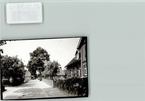 21385 W2124 Amelinghausen FOTO KEINE AK Ruhe im Ortskern, Pflastersteinstraße