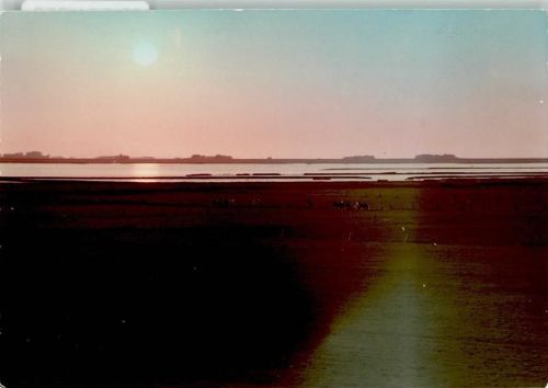 Schobüll Sonnenuntergang