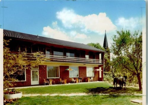 25836 W2256 Welt FOTO KEINE AK Pension Möllner Hof, Ponys am Baum, Sonnenterrase mit Sonnenschirm